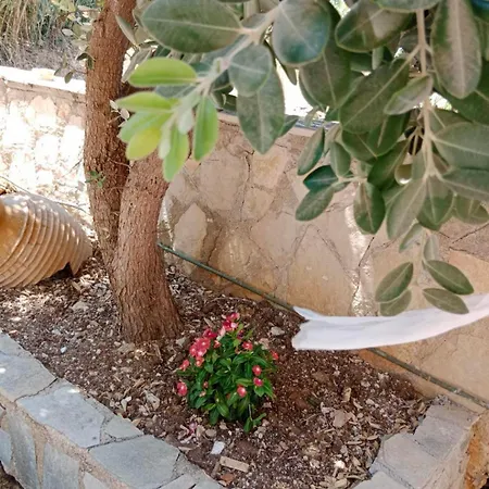 Huggali Zante Sea Front Lux 120m2 Maisonette Vila *