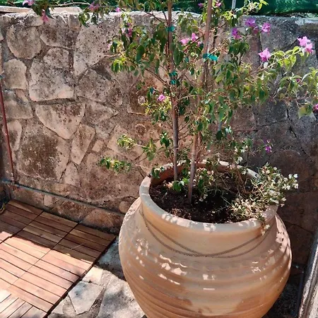 Huggali Zante Sea Front Lux 120m2 Maisonette Αμμούδι